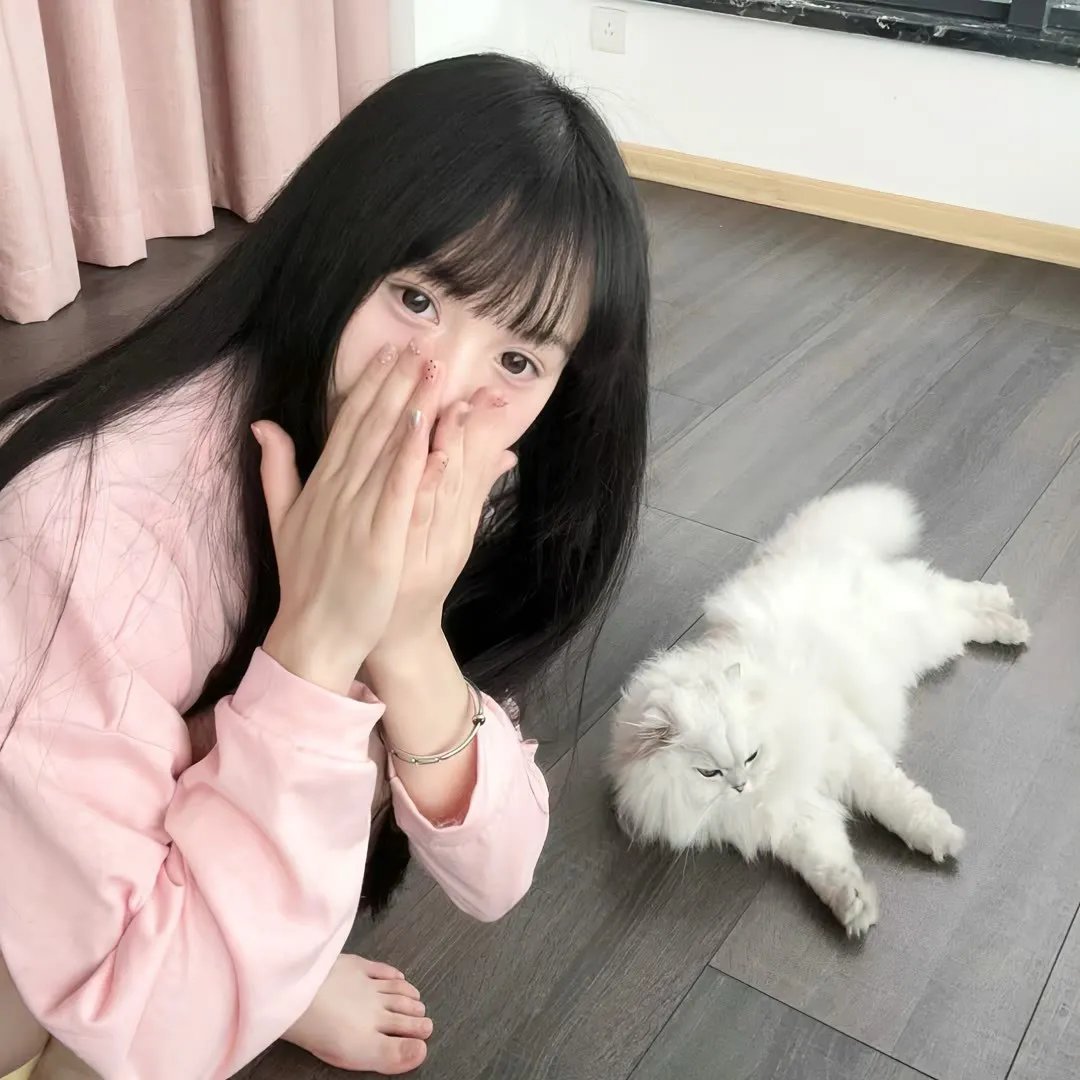 埃默里维尔实验